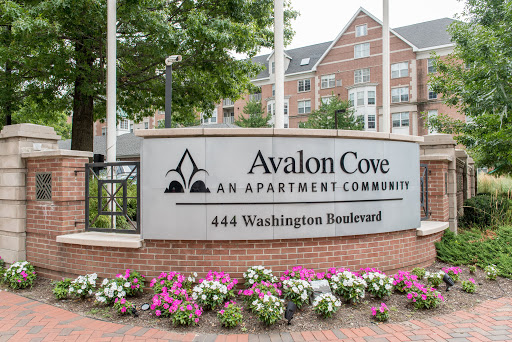 Avalon Cove