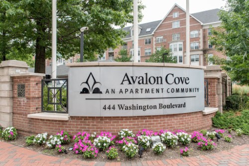 Avalon Cove
